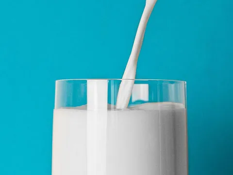 Diplomado Evaluación de la calidad y transformación de la leche