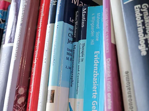 XI Foro internacional MADILEN