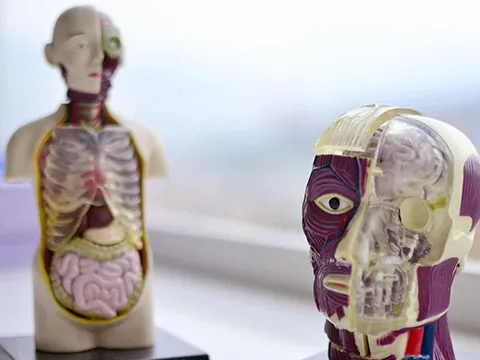 Congreso Internacional de Medicina Humana IV